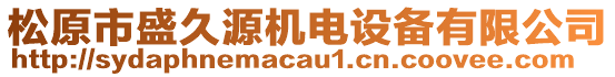 松原市盛久源機電設備有限公司