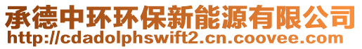 承德中環(huán)環(huán)保新能源有限公司