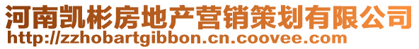 河南凯彬房地产营销策划有限公司