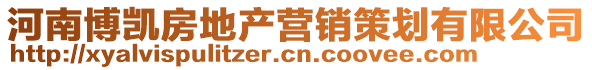 河南博凱房地產(chǎn)營銷策劃有限公司