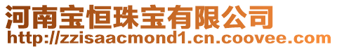 河南寶恒珠寶有限公司
