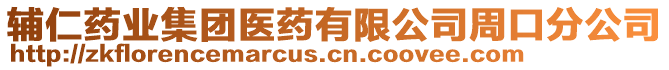 輔仁藥業(yè)集團(tuán)醫(yī)藥有限公司周口分公司