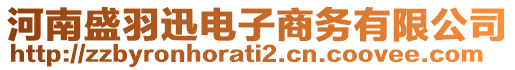 河南盛羽迅電子商務有限公司