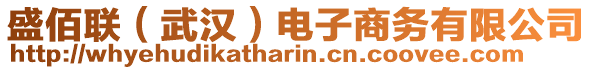 盛佰聯(lián)（武漢）電子商務(wù)有限公司