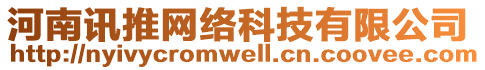 河南訊推網絡科技有限公司