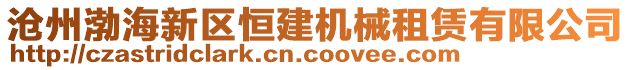 滄州渤海新區(qū)恒建機(jī)械租賃有限公司