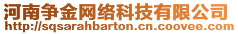 河南爭(zhēng)金網(wǎng)絡(luò)科技有限公司