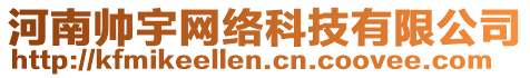 河南帥宇網(wǎng)絡(luò)科技有限公司