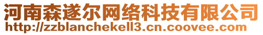 河南森遂爾網(wǎng)絡(luò)科技有限公司