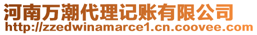 河南萬潮代理記賬有限公司