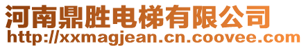 河南鼎勝電梯有限公司