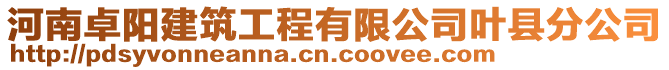 河南卓陽建筑工程有限公司葉縣分公司