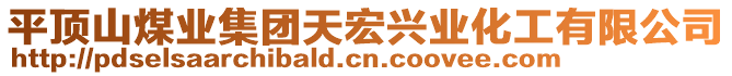 平頂山煤業(yè)集團天宏興業(yè)化工有限公司