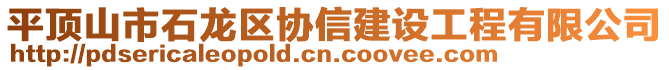 平頂山市石龍區(qū)協(xié)信建設(shè)工程有限公司