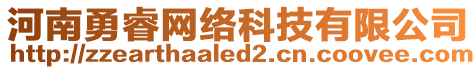 河南勇睿網(wǎng)絡(luò)科技有限公司