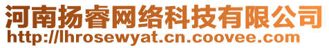 河南揚(yáng)睿網(wǎng)絡(luò)科技有限公司