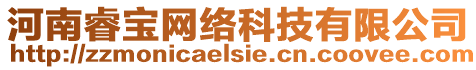 河南睿寶網(wǎng)絡(luò)科技有限公司