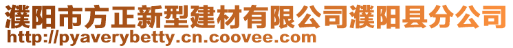 濮陽市方正新型建材有限公司濮陽縣分公司