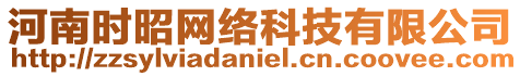 河南時昭網(wǎng)絡(luò)科技有限公司