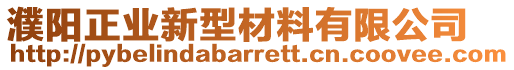 濮陽(yáng)正業(yè)新型材料有限公司