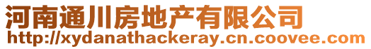 河南通川房地产有限公司