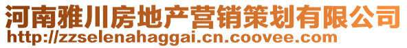 河南雅川房地产营销策划有限公司