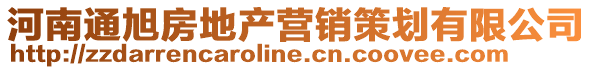 河南通旭房地产营销策划有限公司