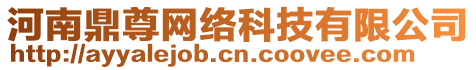 河南鼎尊網(wǎng)絡(luò)科技有限公司