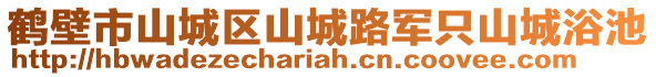 鶴壁市山城區(qū)山城路軍只山城浴池