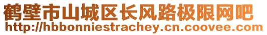 鶴壁市山城區(qū)長風(fēng)路極限網(wǎng)吧