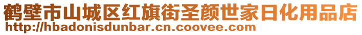 鶴壁市山城區(qū)紅旗街圣顏世家日化用品店