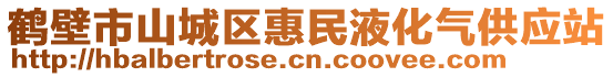 鶴壁市山城區(qū)惠民液化氣供應(yīng)站