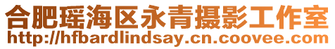合肥瑤海區(qū)永青攝影工作室