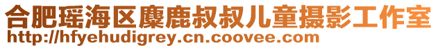 合肥瑤海區(qū)麋鹿叔叔兒童攝影工作室