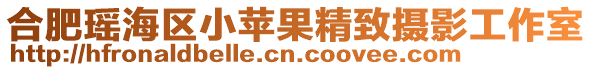 合肥瑤海區(qū)小蘋果精致攝影工作室