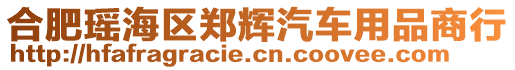 合肥瑤海區(qū)鄭輝汽車用品商行