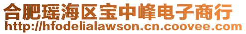 合肥瑤海區寶中峰電子商行