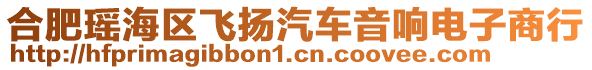 合肥瑤海區飛揚汽車音響電子商行