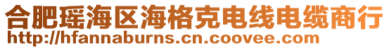 合肥瑤海區(qū)海格克電線電纜商行