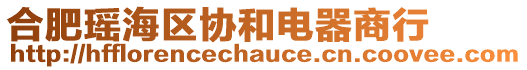 合肥瑤海區(qū)協(xié)和電器商行