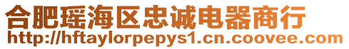 合肥瑤海區忠誠電器商行