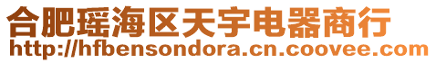 合肥瑤海區(qū)天宇電器商行