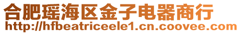 合肥瑤海區金子電器商行