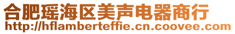 合肥瑤海區美聲電器商行