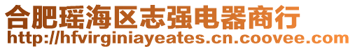 合肥瑤海區(qū)志強電器商行