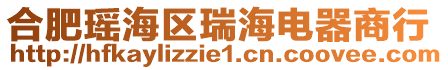 合肥瑤海區瑞海電器商行