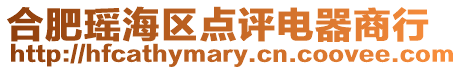 合肥瑤海區(qū)點(diǎn)評電器商行
