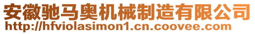安徽馳馬奧機(jī)械制造有限公司