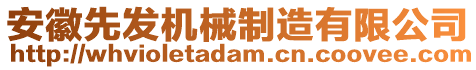 安徽先發機械制造有限公司