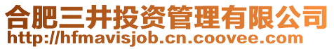 合肥三井投資管理有限公司